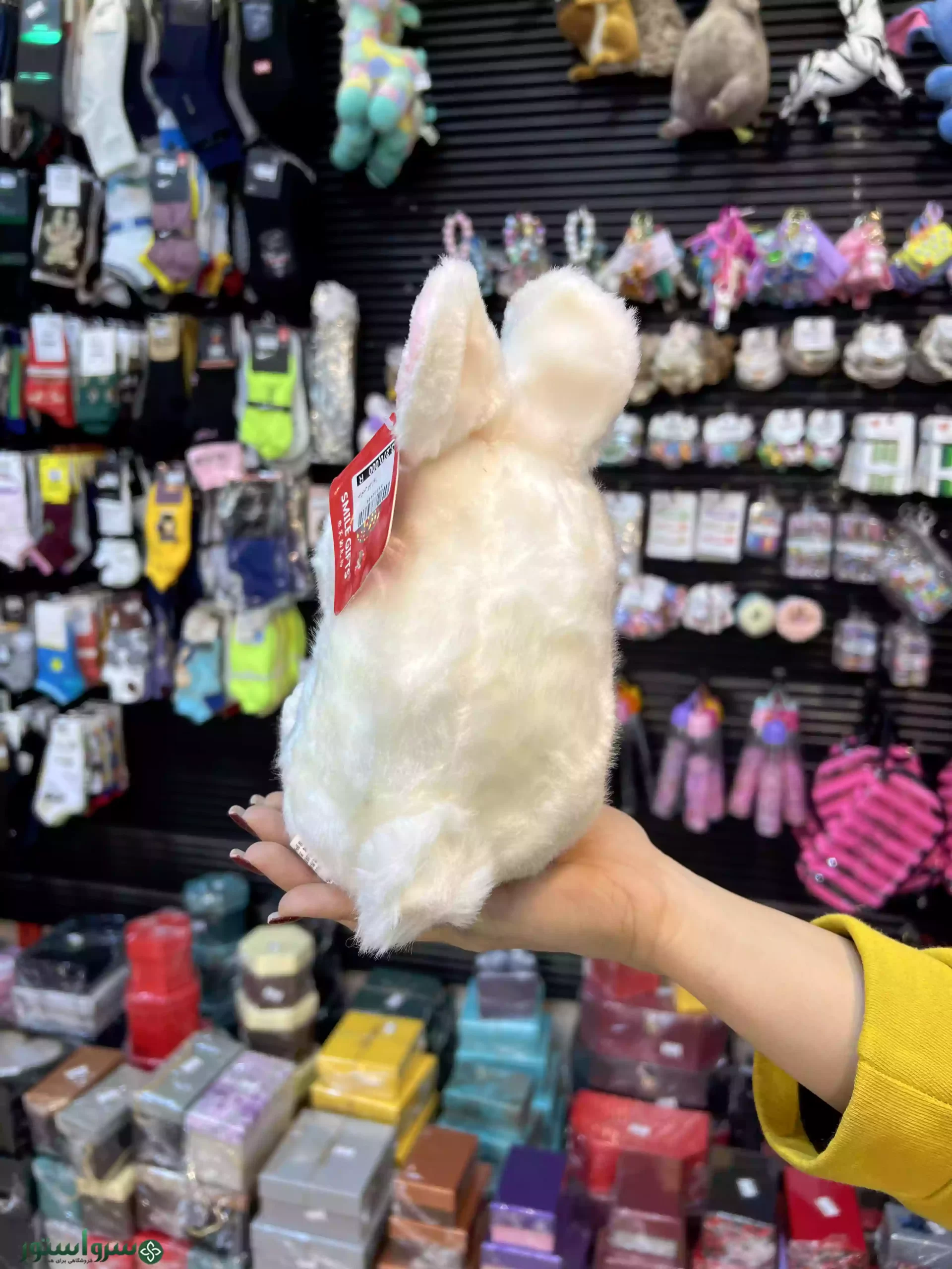 عروسک خرگوش کپل نمای پشت