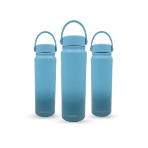فلاسک 900 میل diwangxin - آبی