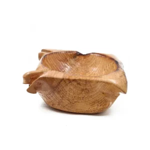 میوه خوری گرد چوب چنار فاخته A9