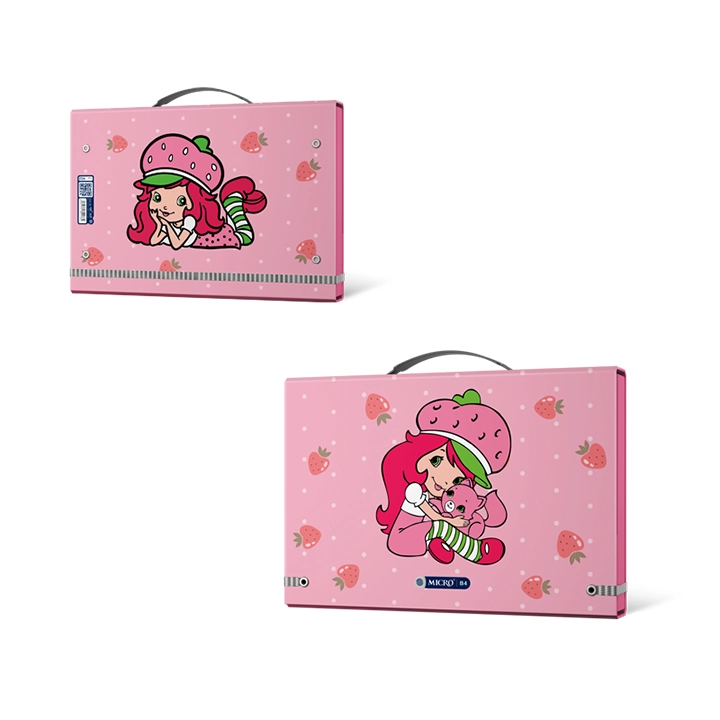 کیف کلاسوری کشدار دخترانه میکرو h12