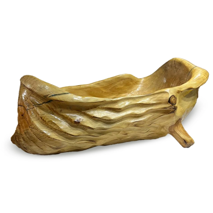 میوه خوری بزرگ روشن چوب جنگلی