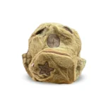 کوله مهد پولیشی کوچک کاپی بارا