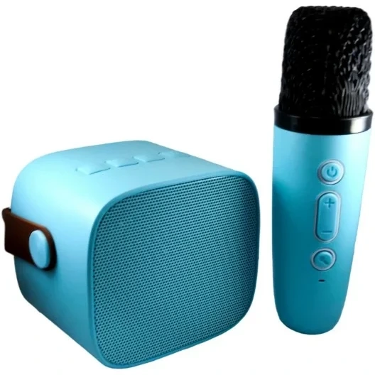 اسپیکر میکروفون دار karaoke